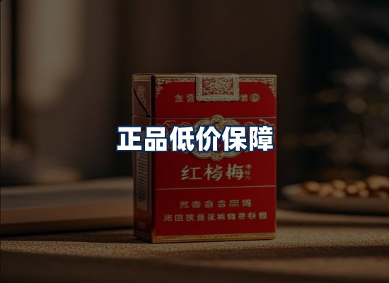 专业团队办公环境